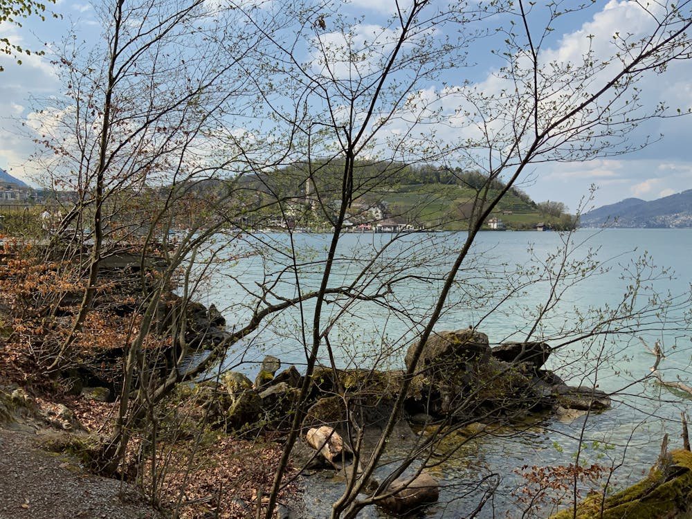 艾斯慕思脚踏之家剧情场景
